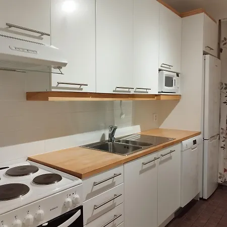 Skandinavisen Taiteilijan 2 H Huoneisto 2 * להטי